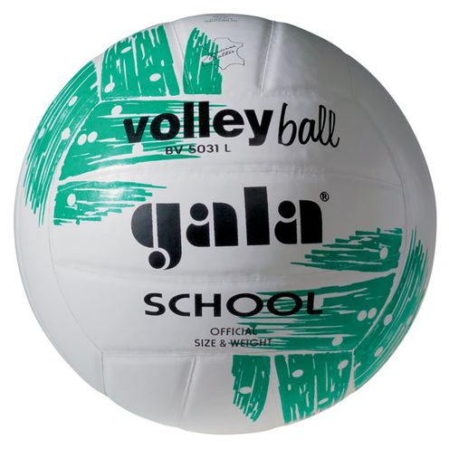 Volejbalový míč GALA School - BV 5031 L